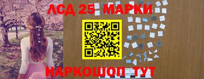 молекула духа Камышлов