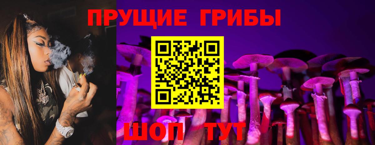 Лесосибирск  Псилоцибиновые грибы Psilocybe  Галлюциногенные грибы прущие грибы  Вход с VPN 
