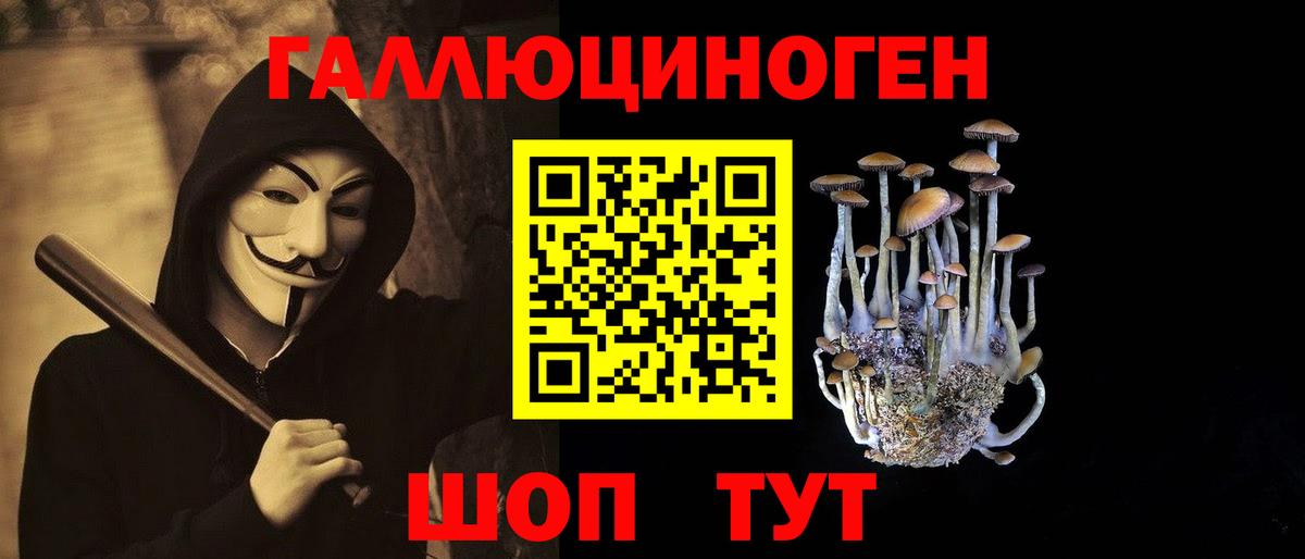 Галлюциногенные грибы Cubensis Лесосибирск